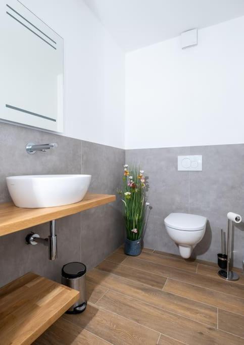 Ferienhaus Mountain View Six50 Mit Sauna Und Kamin In St. Andreasberg Sankt Andreasberg Luaran gambar